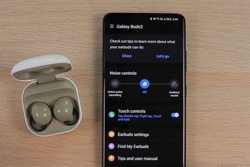 富力爆料最新消息视频播放,视频揭秘球队备战与未来动向